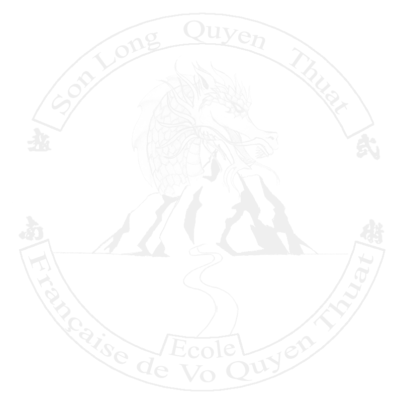 Club Võ Dân Tộc Bussy